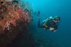 Unterwasserfoto Taucher
