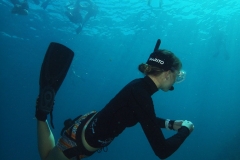 Unterwasserfoto Taucher