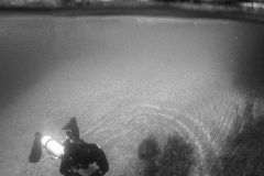 Unterwasserfoto Echinger Weiher